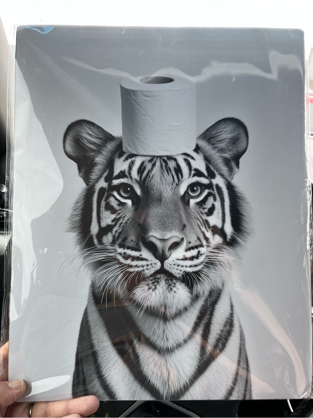 Black & White Tiger Wall Art Print